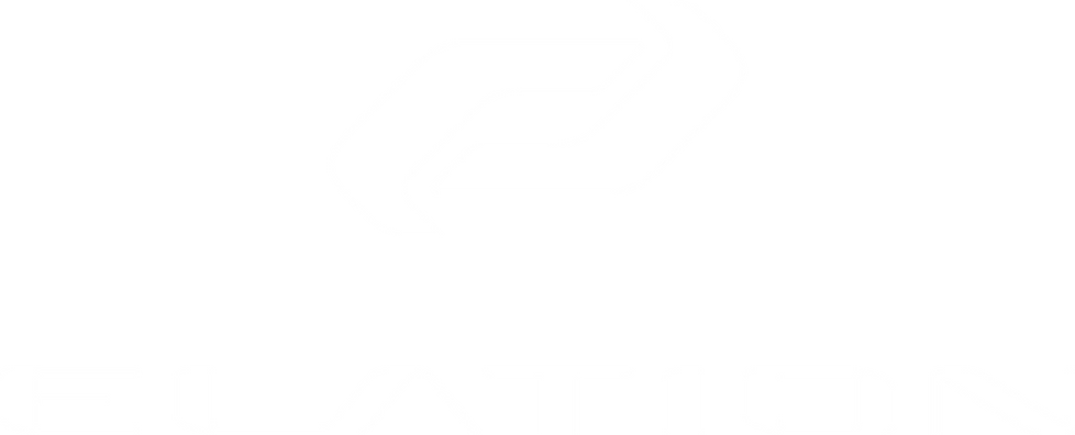 ELATION_LOGO 4 LQ.png