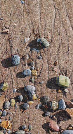 "Striving To Be Seen"