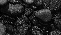 "Beauty Below the Surface"