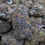 Thumbnail: High THCa Flower