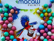 Macaw Paints by Shyam Steel Celebrate Holi in Eastern India With Holi Ke Rang, Magic Ke Sang