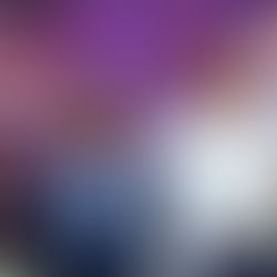 Experts Point to the Growing Number of Traffic Accidents and Fractures Brought on by Osteoporosis