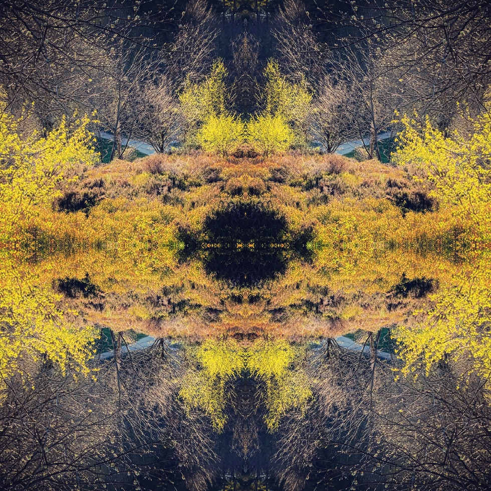 6A20BD86-DBEC-477F-B90A-E50F064101A0