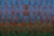 thousands in colour 2 SMALL.jpg