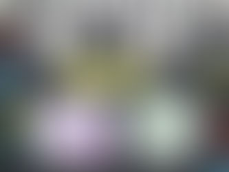 Clausura del Tes 2025