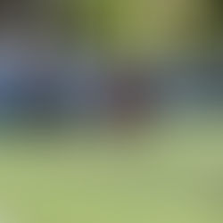 Celebrando el Día del Deportista 