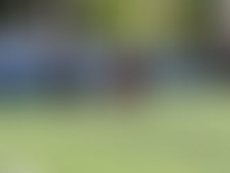 Celebrando el Día del Deportista