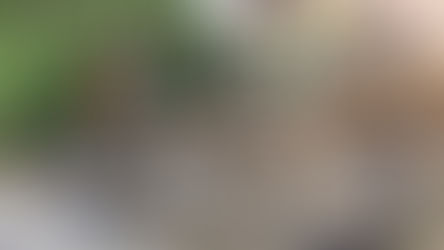 折り畳み電動アシスト『Daytona』はじめました。