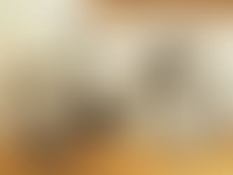 ＜NEWS＞Cannondale　お取り扱い再開しました！！