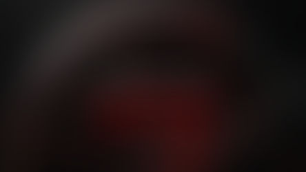 ＜ITEMS＞Fulcrum REDCUSTOM発表＆ご予約受付中！