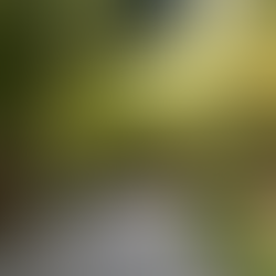 今週の運動量と体重変化