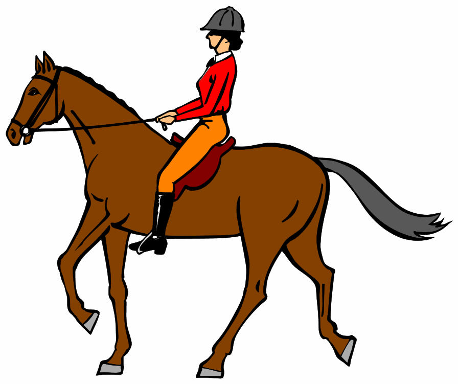 montreal outdoor horseback riding activity