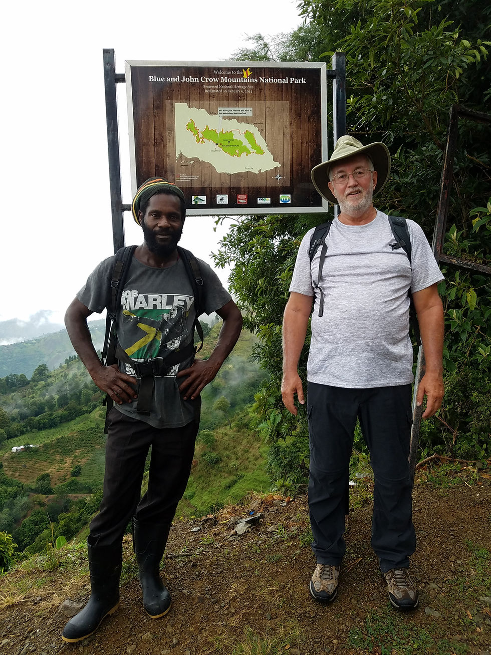 #author #bookseries #youngadult #ya #fantasy #TheMaqlû #ThePairDadeni