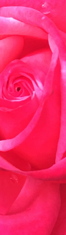 IMG_7137_edited.jpg