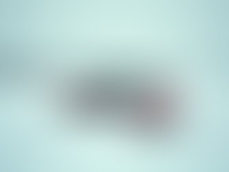 Lessons from a Snowy Prairie: The Day Duke the Mail Carrier Battled a Drift