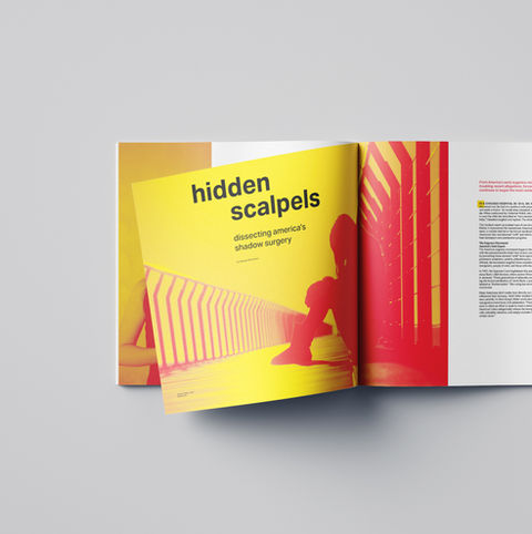 Volition: Design Theory Zine With Poster Insert
