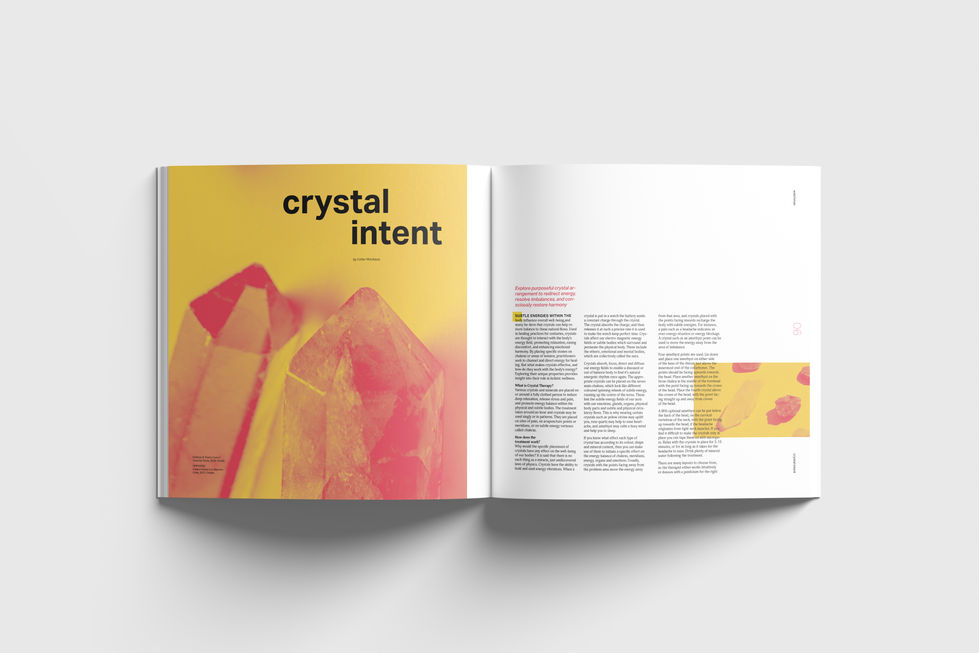 Volition: Design Theory Zine and Poster Insert