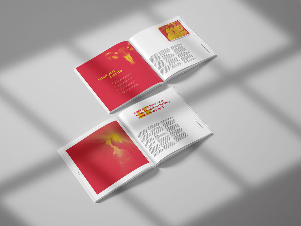 Volition: Design Theory Zine and Poster Insert