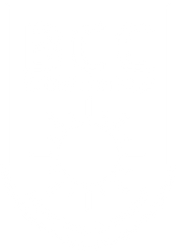 BCG LOGO BLANCO (1).png