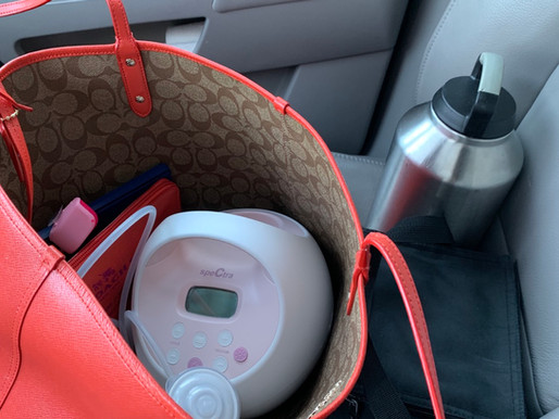 Beauty and the Beast: Working while Breastfeeding