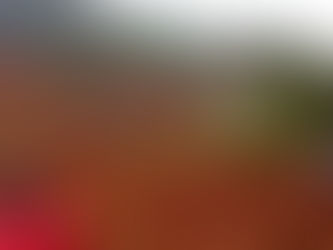 Onze personnes tuées à Yaoundé après un éboulement, vers un bilan plus lourd