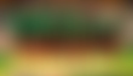 Cameroun–RDC : Le rêve mondial s’effondre, les Lions dévorés en fin de match !