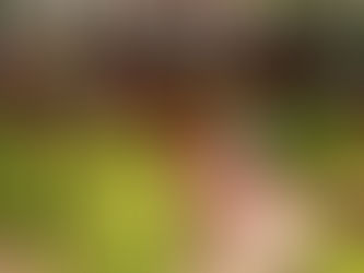 Inflation : les prix des produits alimentaires importés en hausse de 8,5% en janvier 2022 à Yaoundé