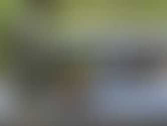 Un officier de police camerounais interpellé au Tchad pour trafic de drogue