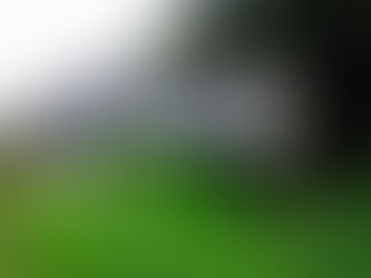 Le différend entre le Cameroun et le Nigéria sur la péninsule de Bakassi n’est pas terminé