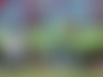 COUPE DU MONDE / AVANT SÉNÉGAL-PAYS-BAS : UN SADIO MANÉ VOUS MANQUE ET TOUT EST DÉPEUPLÉ ?