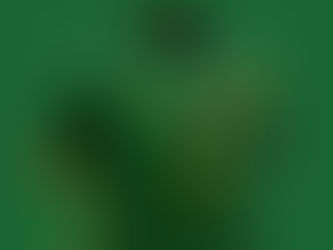 Le Coq Sportif expédie au Cameroun les maillots des Lions pour le Mondial 2022