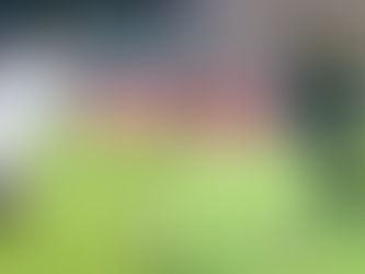 Barrages Mondial 2022: Égypte-Sénégal, une revanche de la finale de la CAN très attendue