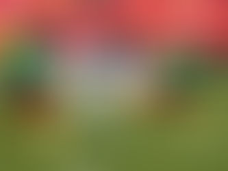 Mondial 2022 - Préparation : Le Cameroun cale face au Panama