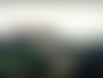 Confidentiel : panique à Etoudi après l’élection de Joe Biden