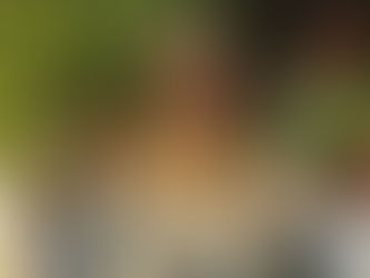 Gestion du Cameroun: nouvelle sortie fracassante de Fo'o Sokoudjou