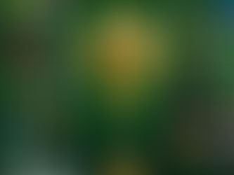 100 millions pour le service d’accueil : voici le budget complet à la CAN 2021