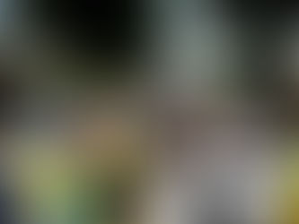 PLUS DE 230 000 PERSONNES SE SONT RECUEILLIES DEVANT LE CERCUEIL DE PELÉ