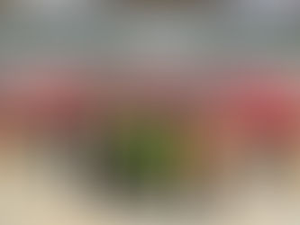 Mensonge d’Etat : Deuxième glissement et imbroglio sur la date de livraison du stade Olembe