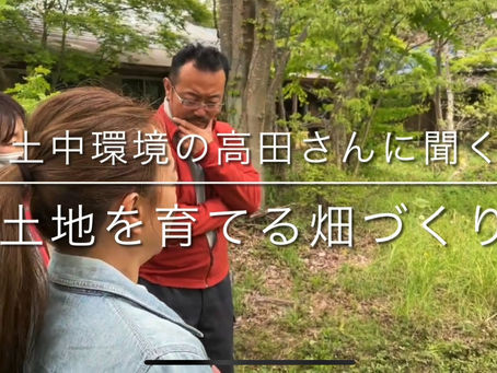 ダーチャの畑開き