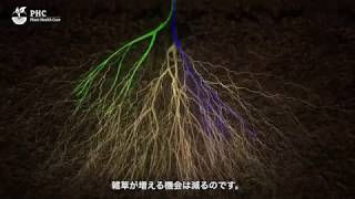 土は生命体