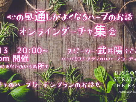 心の風通しがよくなるハーブのお話