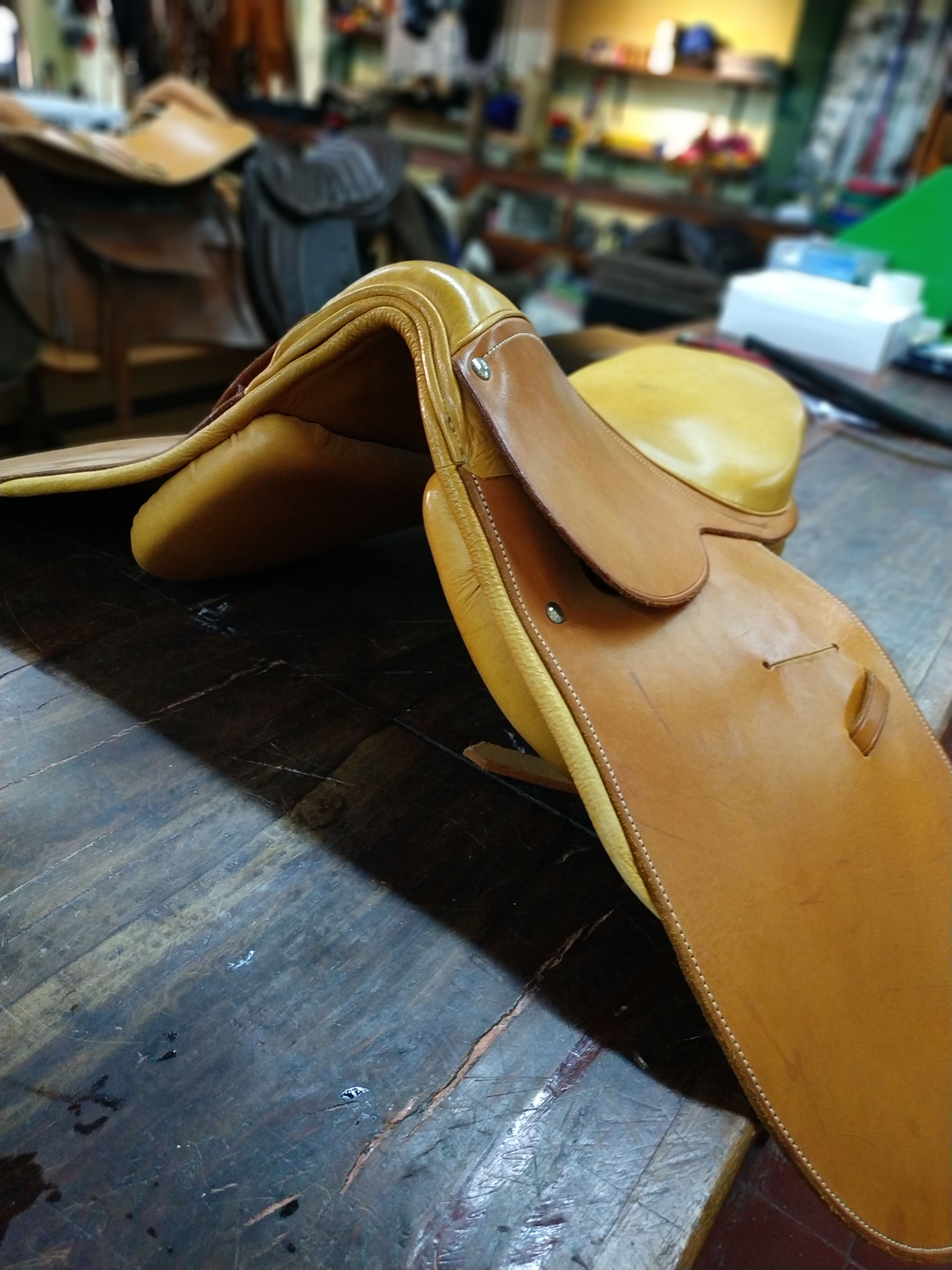 Montura para polo
