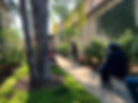 IMG_7357.jpeg