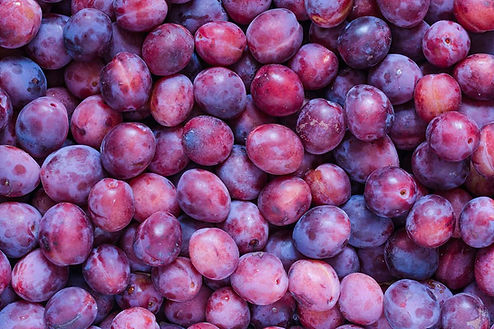 Fresh, ripe plums arranged closely together for sale at farmers market