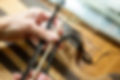 BRAID-19.jpg