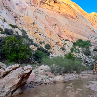 Canyon Glow.HEIC