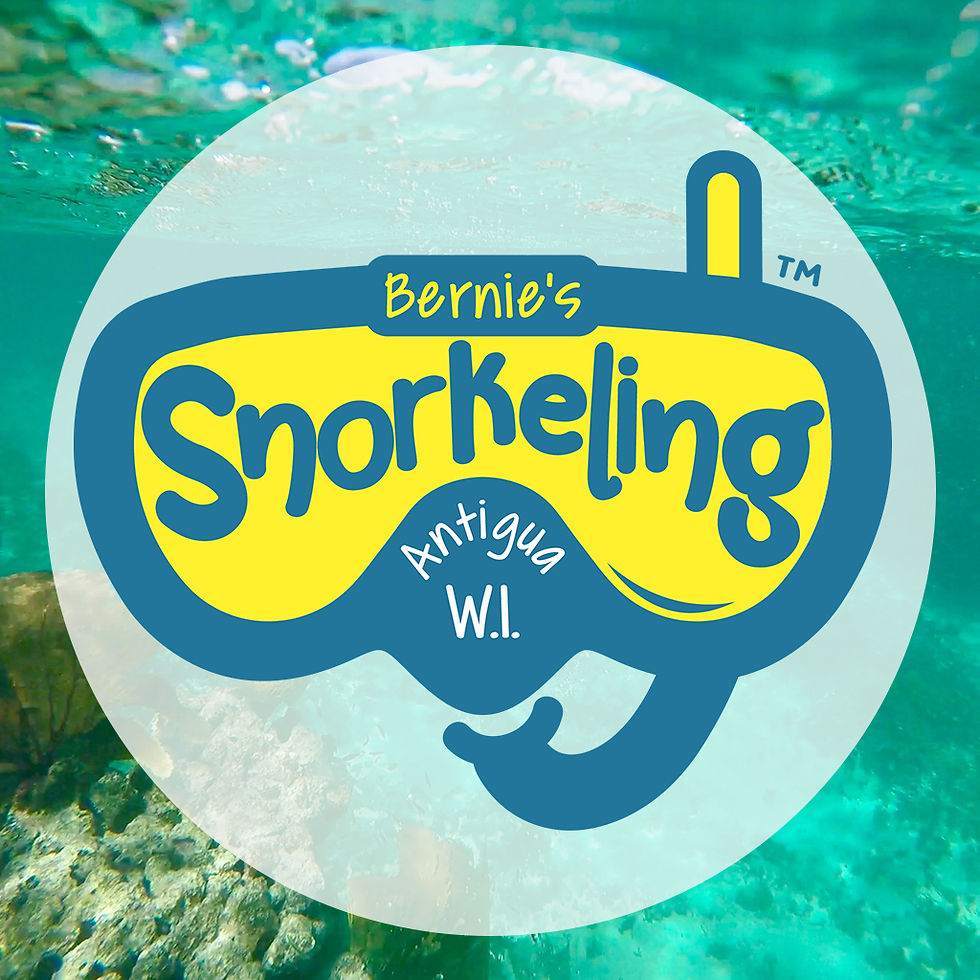 Photo Gallery Snorkeling Antigua W.I. Antigua and Barbuda