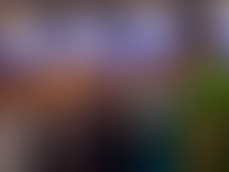 A obsolescência programada de Edvaldo Nogueira no grupo Mitidieri