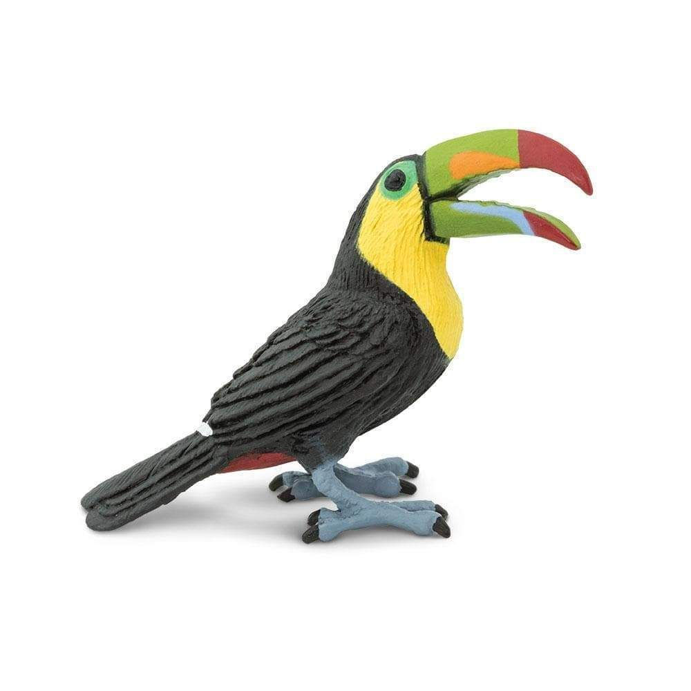 TOUCAN
