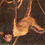 Thumbnail: Swinging Monkeys